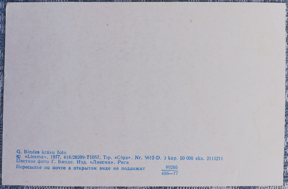 Pelašķis 1977 Ziedi 14x9 cm Latvijas pastkarte    