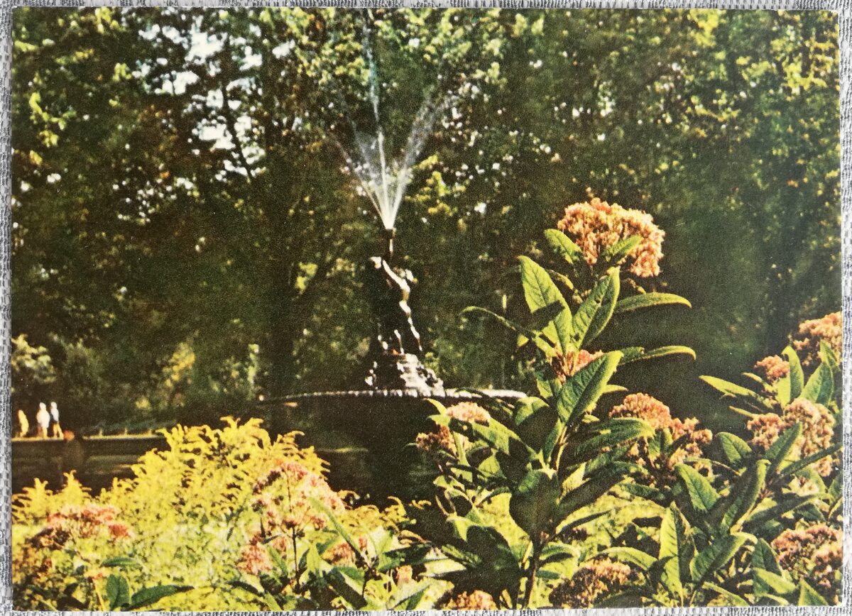 Парк Кирова 1968 Рига 14x10 см латвийская открытка  