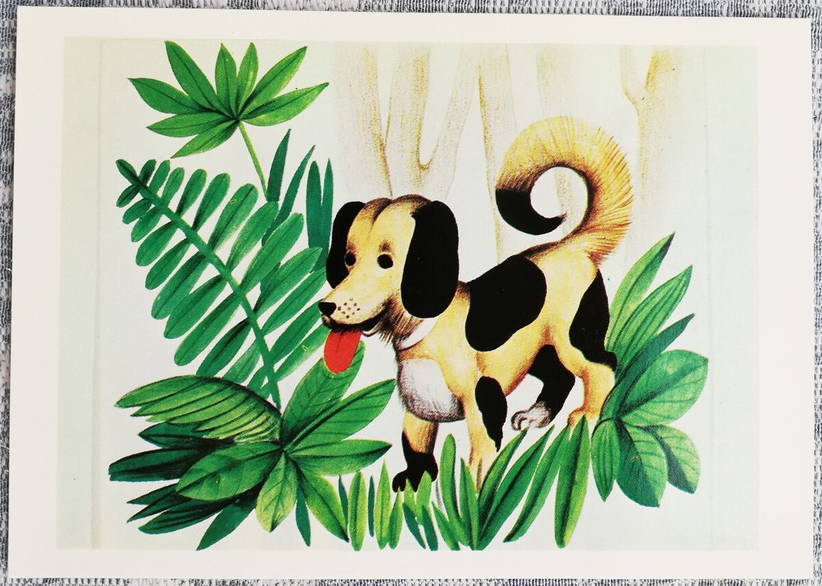 Šnibīši Apelsīnijā 1981 bērnu grāmatu ilustrācijas 15x10,5 cm PSRS pastkarte   