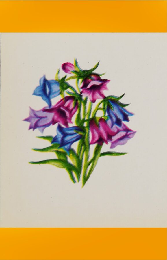 Pušķis 1985 ziedi 10,5x7,5 cm Latvijas pastkarte   
