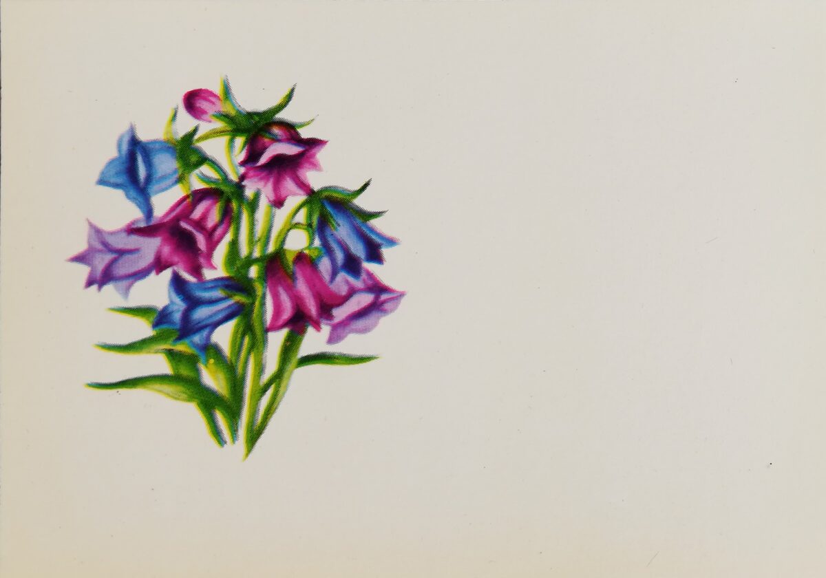Pušķis 1985 ziedi 10,5x7,5 cm Latvijas pastkarte   