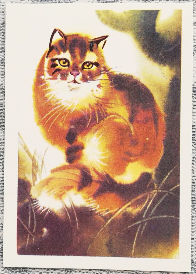 Kaķis 1983 bērnu mini pastkarte 7,5x10,5 cm  