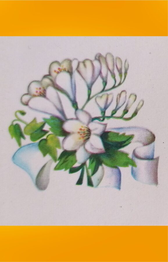 Balti ziedi 1979 Mini apsveikuma kartīte 11,5x5,5 cm  