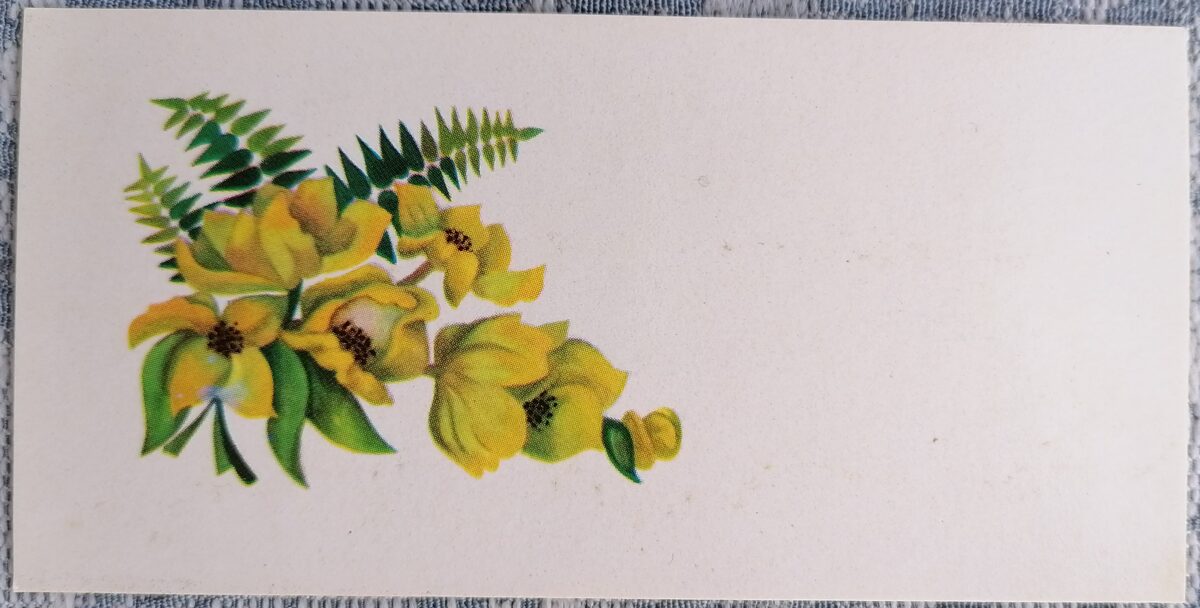 Orhidejas un papardes 1979 Mini apsveikuma kartīte 11,5x5,5 cm  