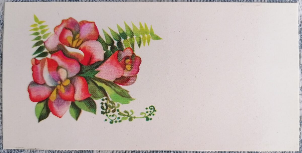 Sarkanie ziedi un paparde 1979 apsveikuma minikartīte 11,5x5,5 cm   