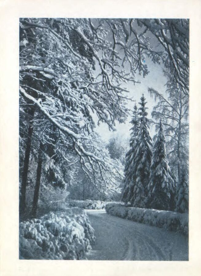 "Laimīgu Jauno gadu!" 1982 Ziemas mežs 10,5x14,5 cm Jaungada karte Latvija    