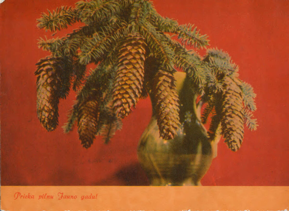 "Laimīgu Jauno gadu!" Egļu čiekuri 14x10,5 cm Jaungada pastkarte Latvija  