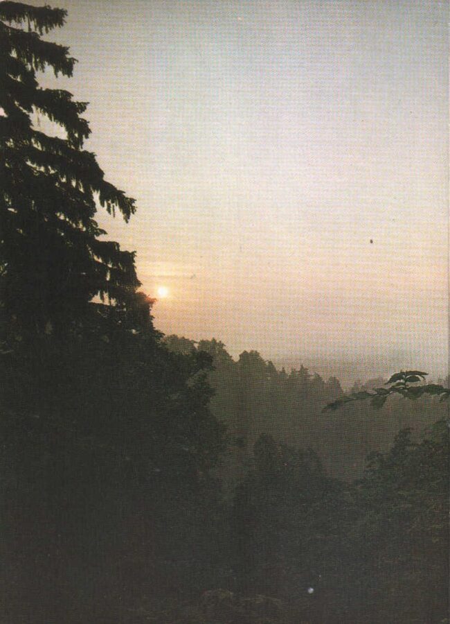 Apsveikuma pastkarte 1990. gada "Jāņa nakts" 10,5x15 cm Avots 