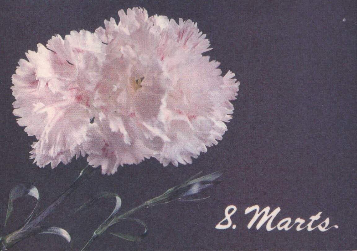 «8 марта» 1988 поздравительная открытка СССР Гвоздика «Avots» 15x10,5 см
