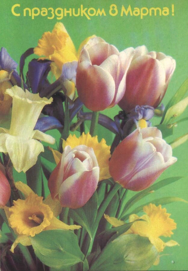 «С праздником 8 марта» 1988 поздравительная открытка СССР Нарциссы и тюльпаны 10,5x15 см  