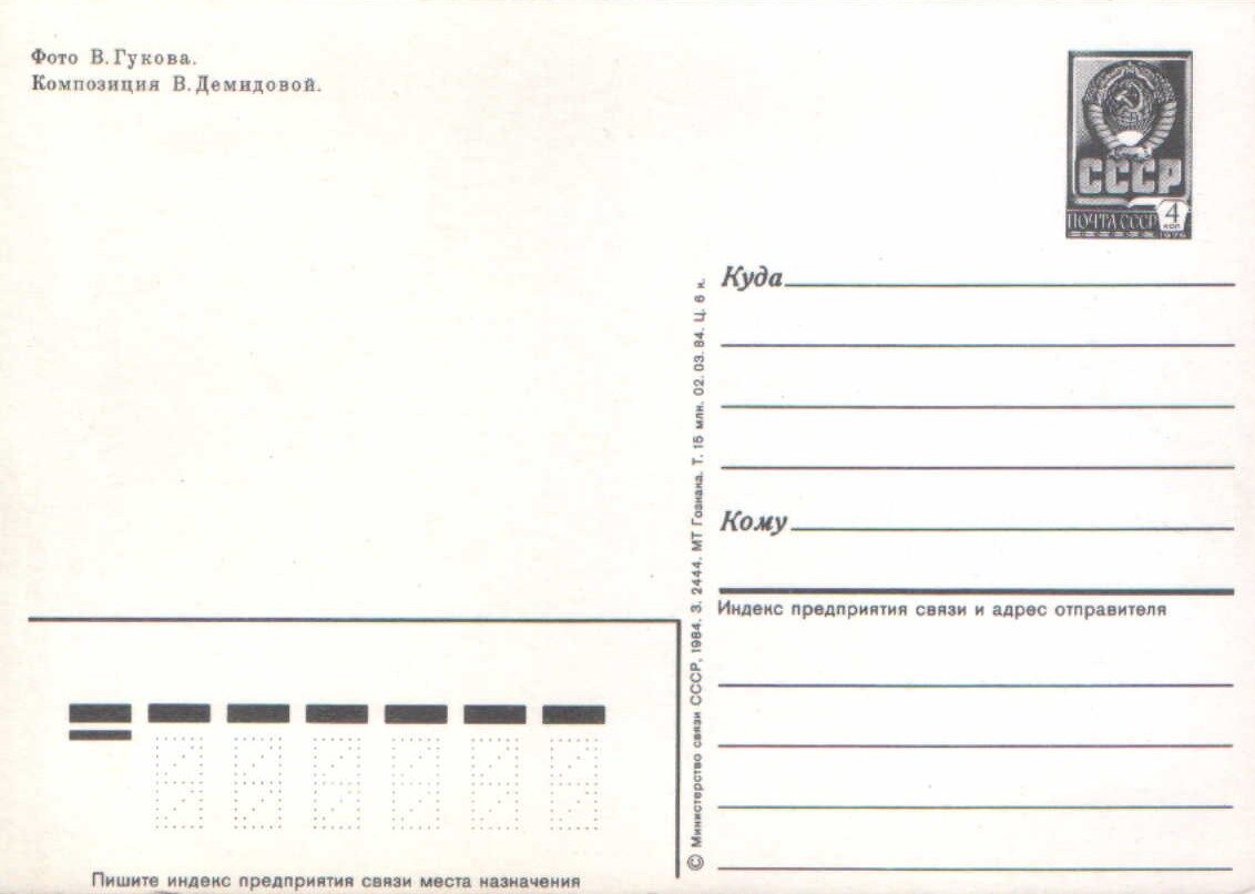 «8 марта» 1984 поздравительная открытка СССР Гвоздики и мимозы 10,5x15 см 
