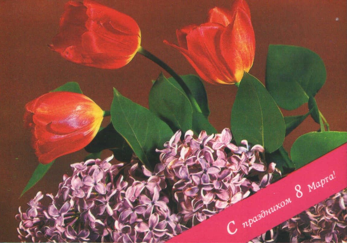 Поздравительная открытка 1982 года «С праздником 8 марта!» Тюльпаны и сирень 15x10,5 см 