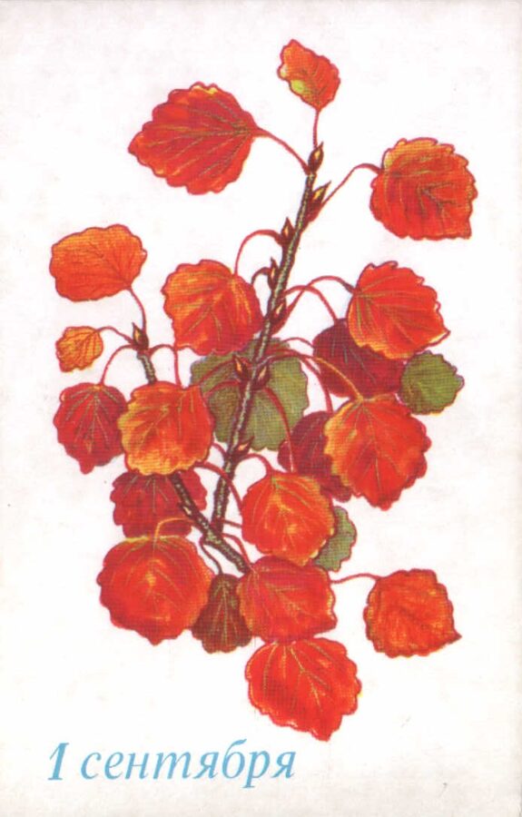 Apsveikuma pastkarte 1972 "1. septembris" 9x14 cm   