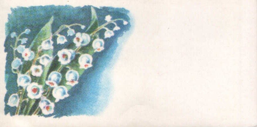 Apsveikuma mini pastkarte 1978. gada 11,5x5,5 cm Rīgas paraugtipogrāfija "Zvaigzne"