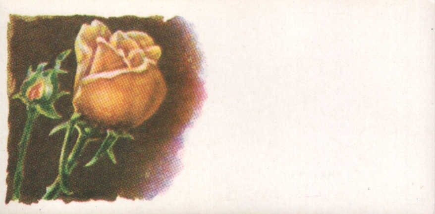 1978 mini greeting card 11,5x5,5 cm Riga typography "Zvaigzne"