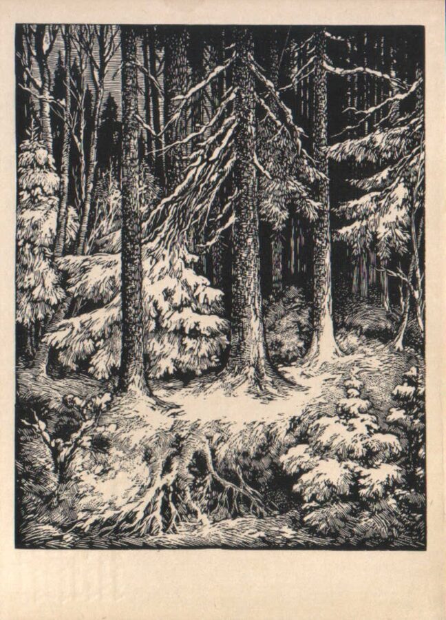 Arturs Duburs "Winter Forest" 1970 art postcard 10x14 cm