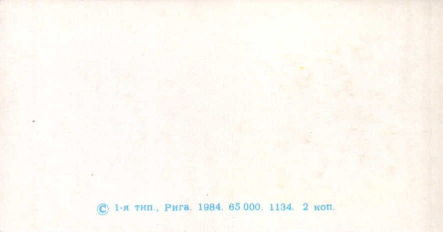 1984 mini greeting card 11,5x5,5 cm K. Birze Easter bunny
