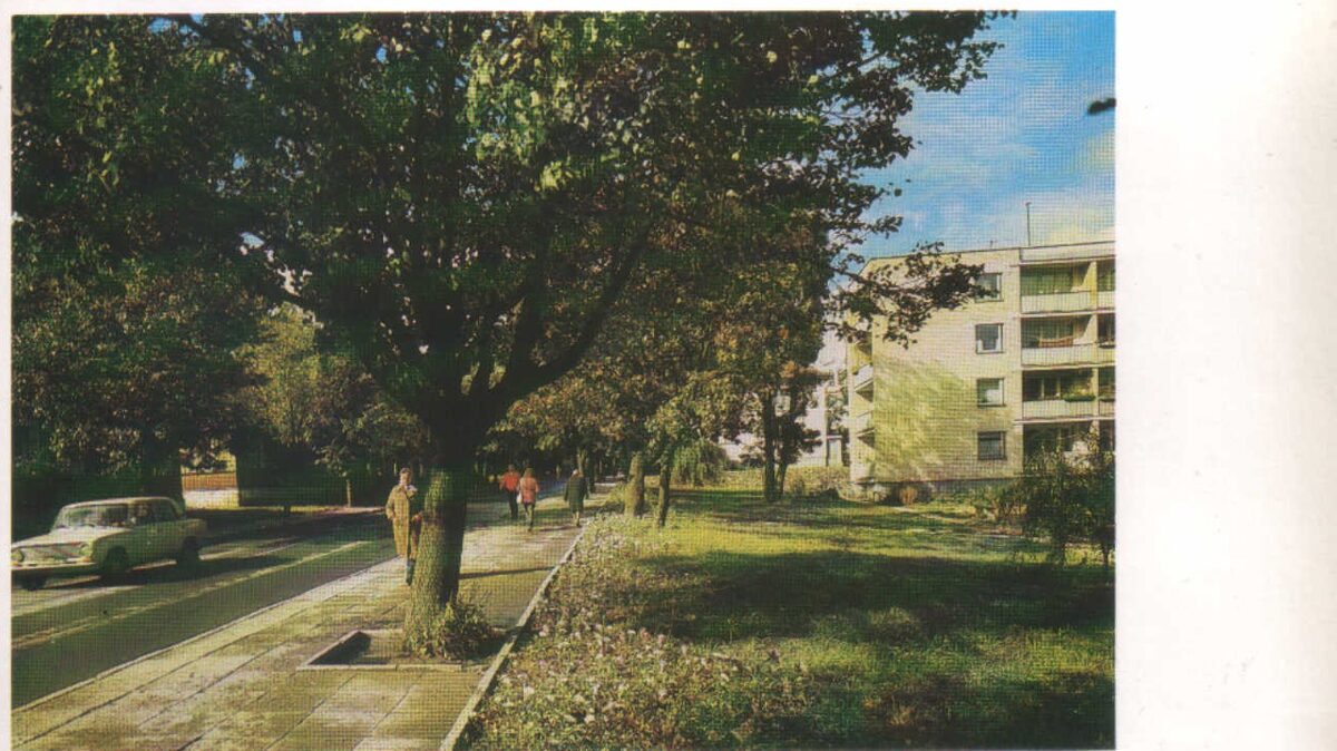Lietuva. Traķi. 1981. gada pastkarte. Jaunā dzīvojamā rajonā. 16,5x9,5 cm 