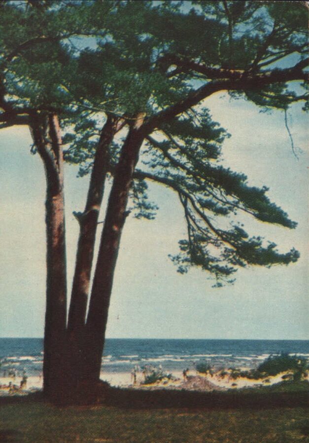 Юрмала 1965 год На берегу моря. 10x14 см.