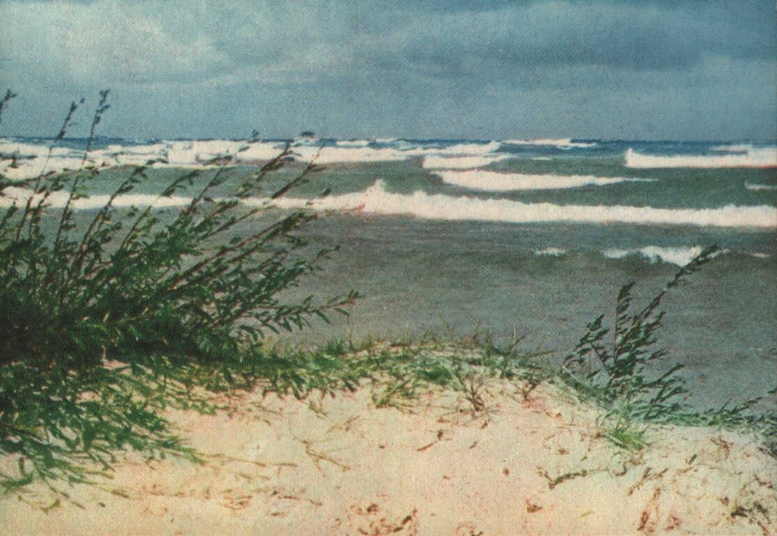 Юрмала 1965 Балтийское море осенью. 14x10 см.