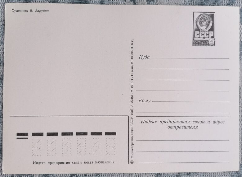 Vladimir Zarubin 1983 Hockey Boy 10.5x15 cm USSR postcard #108 