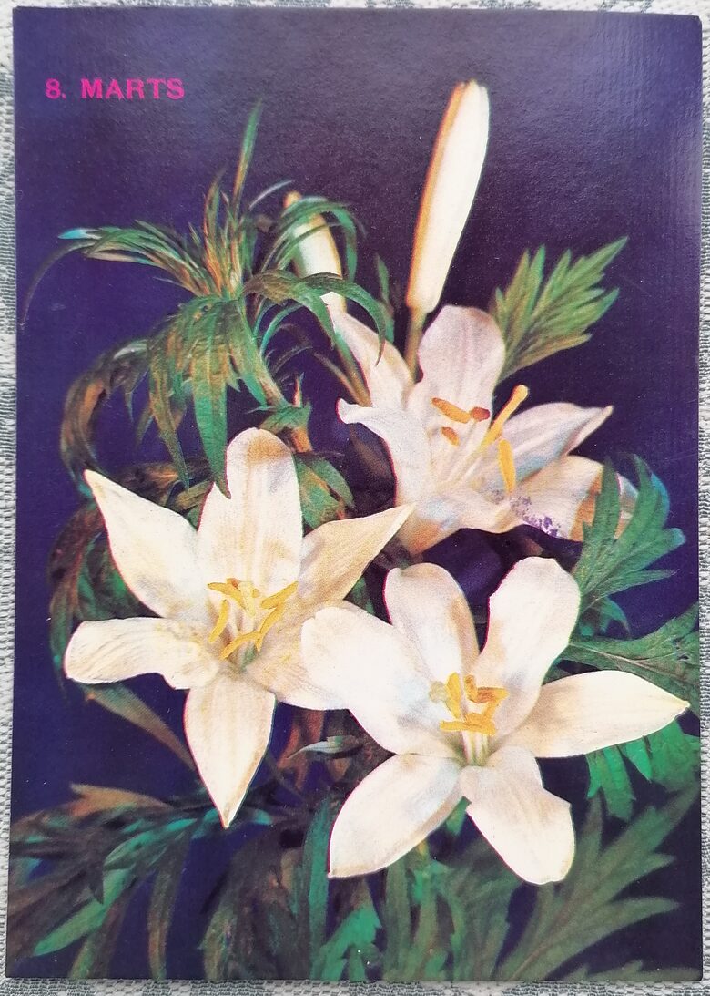 Baltās lilijas 1989 pastkarte 8. marts PSRS 10,5x15 cm  