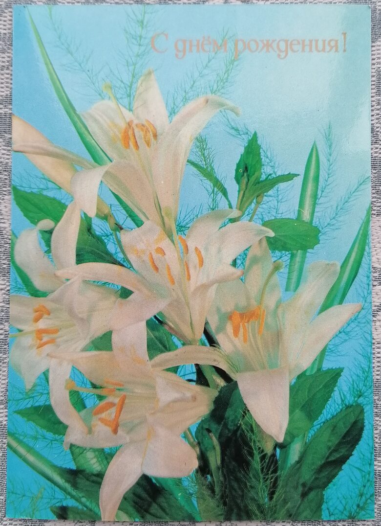 Baltās lilijas 1989 pastkarte PSRS 10,5x15 cm  