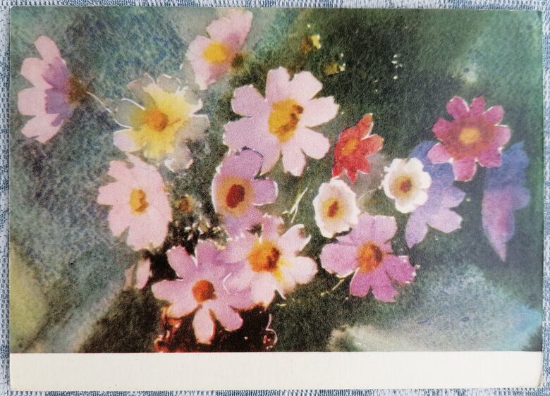 Pink Flowers 1962 Karlis Sunins 15x10.5 cm art postcard Latvia  