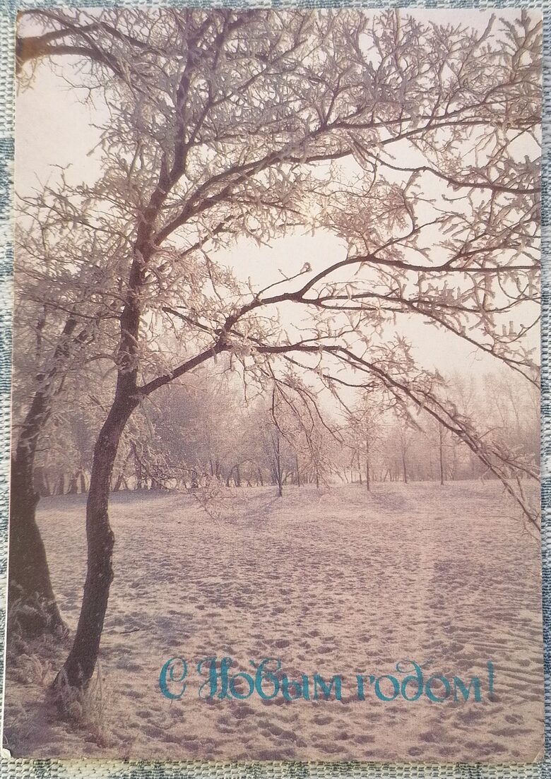 Snow-covered field in a winter forest 1985 USSR New Year's card 10.5 x 15 cm  