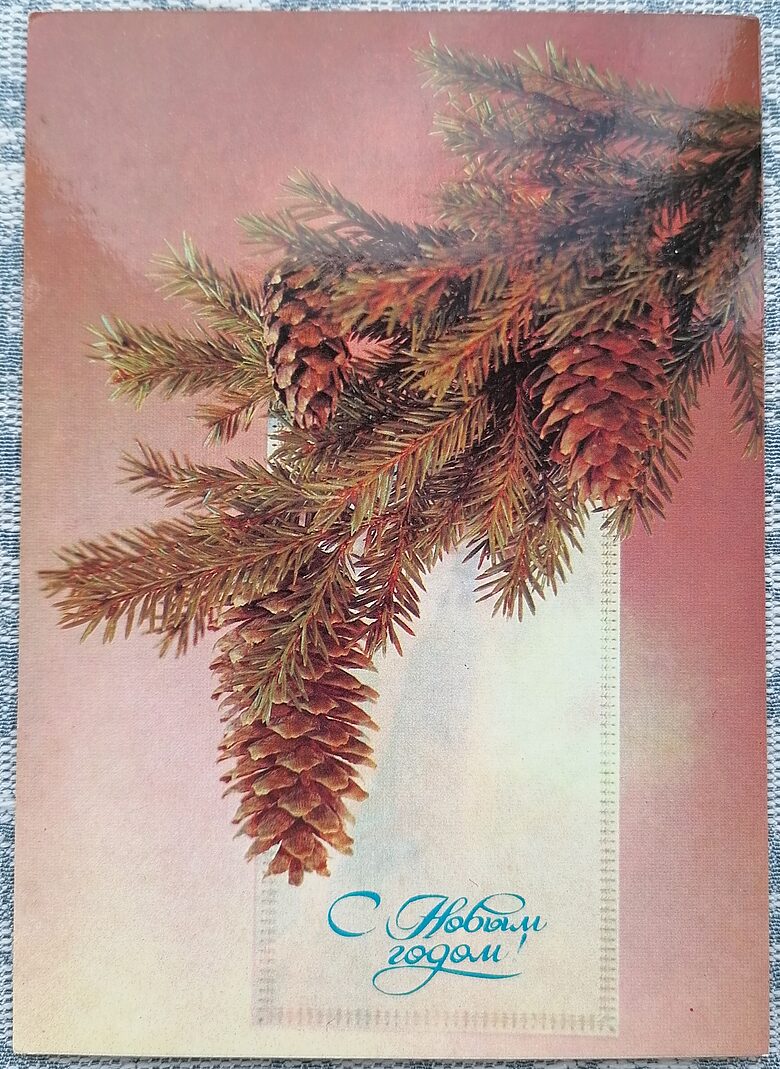 Egles zars ar čiekuriem 1984 PSRS Jaungada kartīte 10,5 x 15 cm  