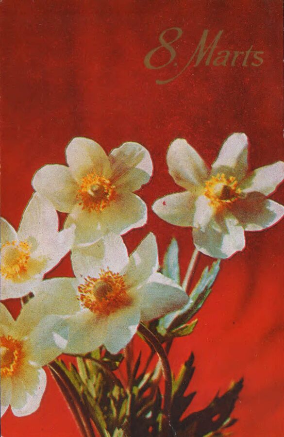 Поздравительная открытка «8 марта» Нарциссы 1978 года «Liesma» 9x14 см 