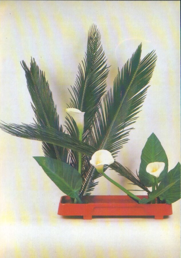 Apsveikuma pastkarte "Ziedi" Kallas 1983. gada "Planeta" 10,5x15 cm