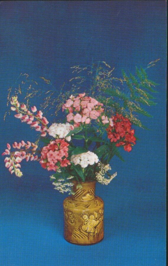 Apsveikuma pastkarte "Ziedi" Flokši 1983. gada "Planeta" 9x14 cm