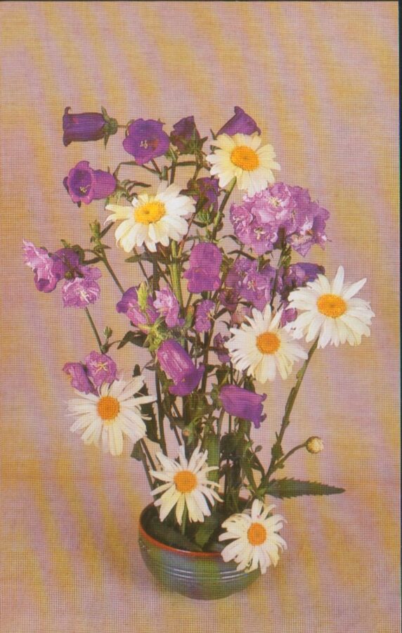 Apsveikuma pastkarte "Ziedi" Pusķis ar kumelītēm 1983. gada "Planeta" 9x14 cm