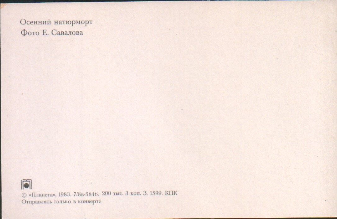 Apsveikuma pastkarte "Ziedi" Kompozīcija ar gailenēm un pīlādžiem 1983. gada "Planeta" 14x9 cm