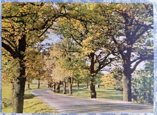 Ceļš Cēsu apkārtnē 1972 Latvija 14x10 cm pastkarte JT16185  