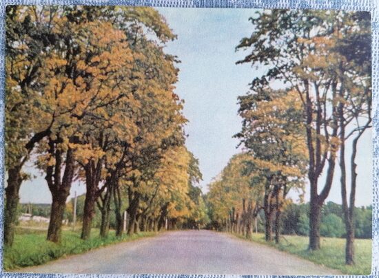 Highway Kangari-Ergli 1972 Latvia 14x10 cm postcard JT16185  