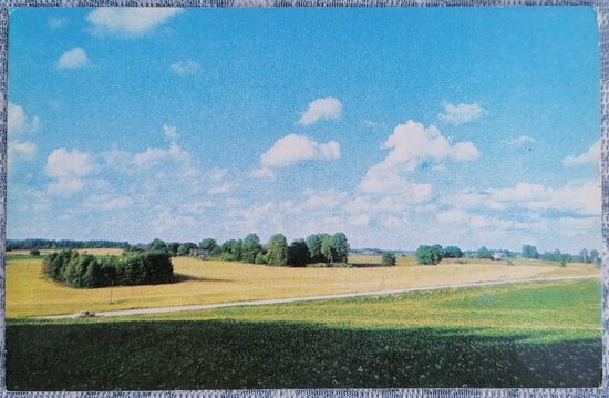 View of the road Cesis-Limbaži 1976 Gauja National Park 14x9 cm Latvian postcard  