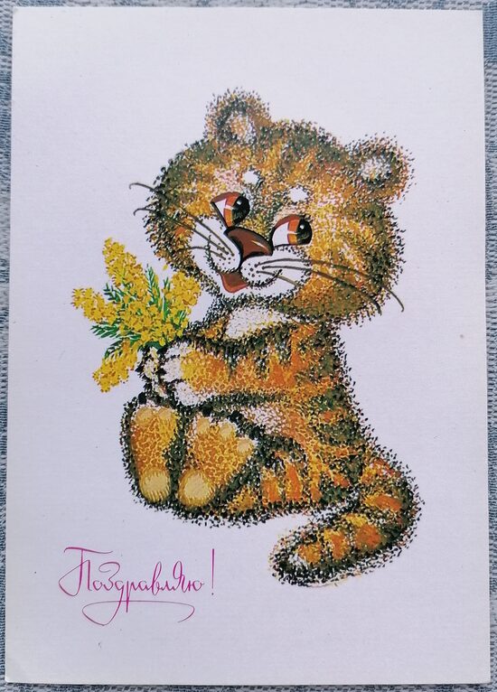 Tīģeris ar mimozām 1989 pastkarte PSRS 10,5x15 cm  