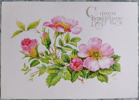 Шиповник 1989 открытка СССР 15x10,5 см С днём рождения  