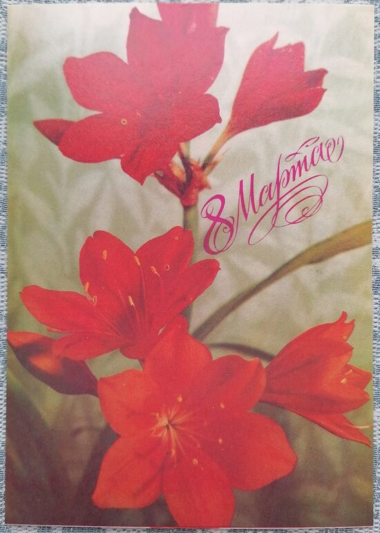 Red amaryllis 1988 postcard March 8 USSR 10.5x15 cm  