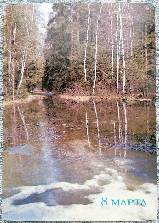 Flood in the forest 1986 postcard March 8 USSR 10.5x15 cm  