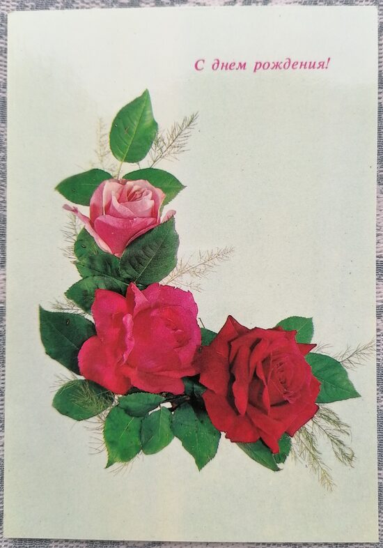 Красные розы 1988 открытка СССР 10,5x15 см С днём рождения  
