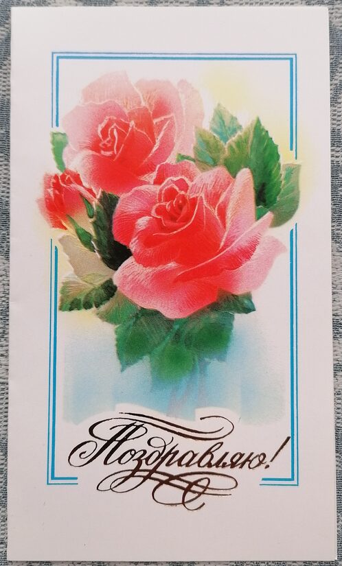Rozā rozes 1986 pastkarte PSRS 9x15 cm  