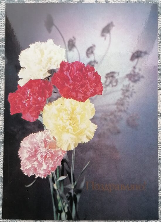 Daudzkrāsainas neļķes 1989 pastkarte PSRS 10,5x15 cm   
