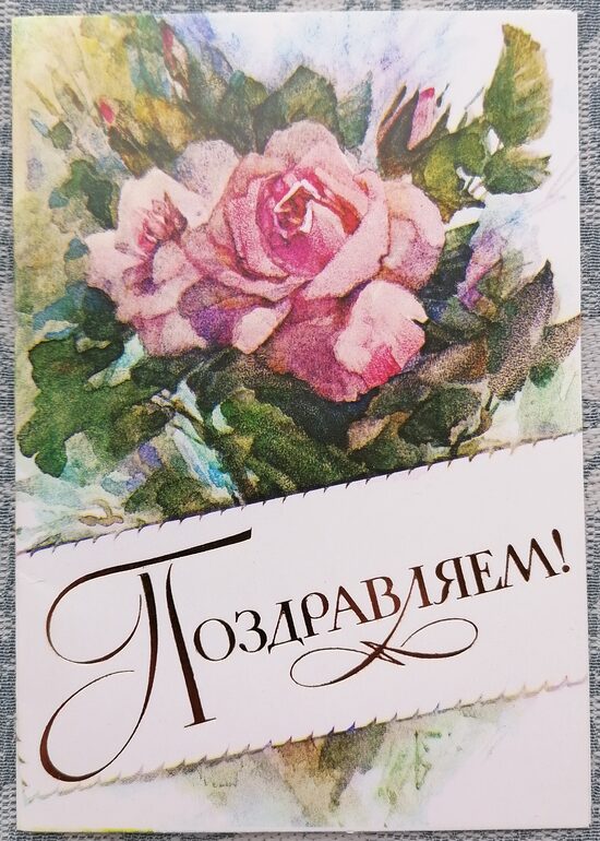 Rozā roze 1988 PSRS pastkarte 10,5x15 cm  