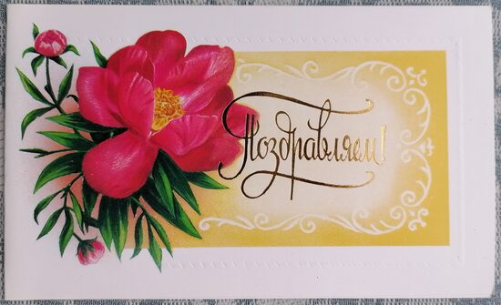 Rozā peonijas 1988 PSRS pastkarte 16x9,5 cm  