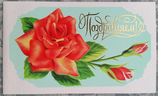 Sarkanā roze 1988 PSRS pastkarte 16x9,5 cm  