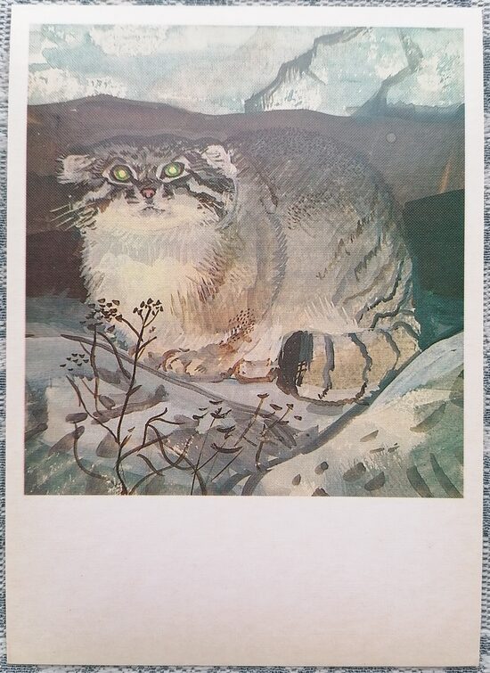 Manul 1984 Red Book of the USSR 10.5x15 cm postcard  