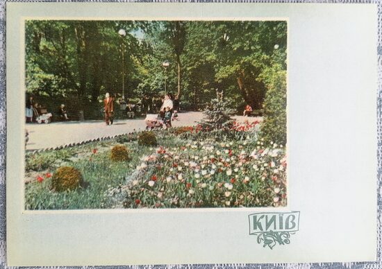 Alley in the park named after T. G. Shevchenko 1961 Kyiv 15x10.5 cm postcard Ukraine  